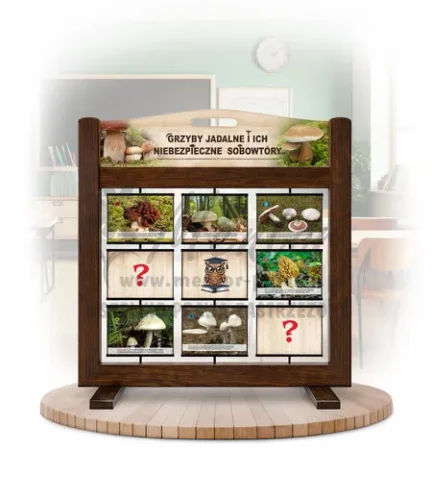 Pamięciówka (gra mobilna) - Grzyby jadalne i ich niebezpieczne sobowtóry