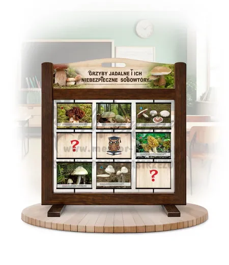 Pamięciówka (gra mobilna) - Grzyby jadalne i ich niebezpieczne sobowtóry