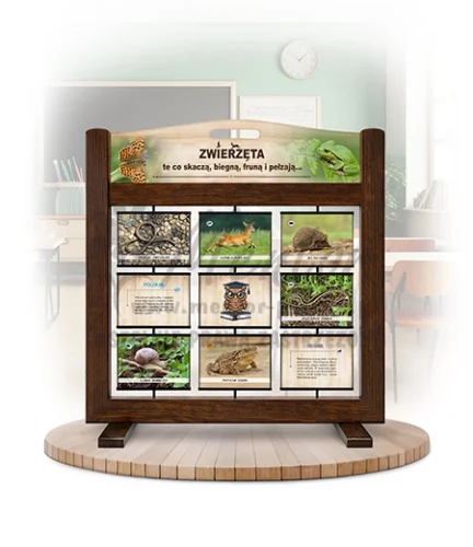 Pamięciówka (gra mobilna) - Zwierzęta - te co skaczą, biegną, fruną i pełzają kolor brąz