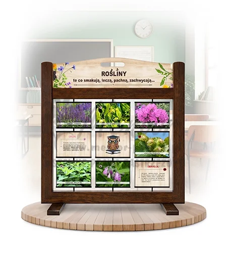 Pamięciówka (gra mobilna) - Rośliny - te co smakują, leczą, pachną, zachwycają