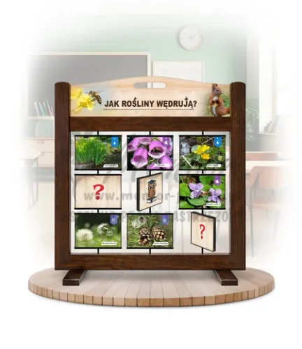 Pamięciówka (gra mobilna) - Jak rośliny wędrują? kolor brąz