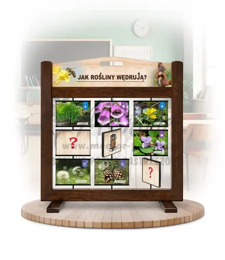 Pamięciówka (gra mobilna) - Jak rośliny wędrują?