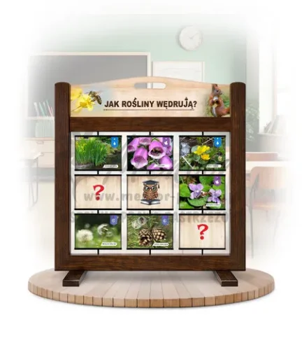 Pamięciówka (gra mobilna) - Jak rośliny wędrują?