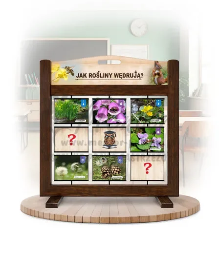 Pamięciówka (gra mobilna) - Jak rośliny wędrują?