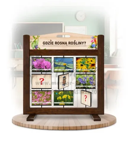 Pamięciówka (gra mobilna) - Gdzie rosną rośliny? kolor brąz