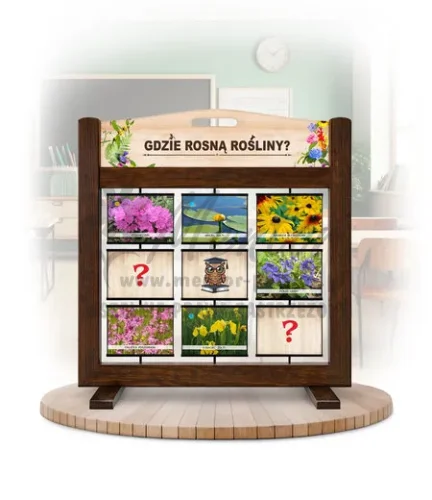 Pamięciówka (gra mobilna) - Gdzie rosną rośliny?