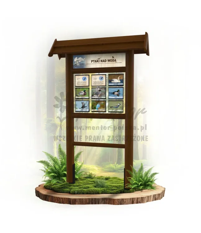 Seria poznawcza - Ptaki nad wodą_foto_brąz