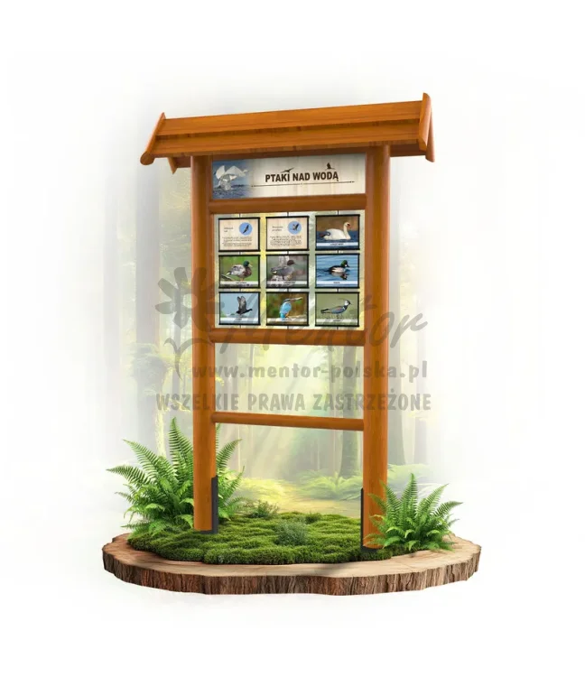 Seria poznawcza - Ptaki nad wodą_foto_dąb