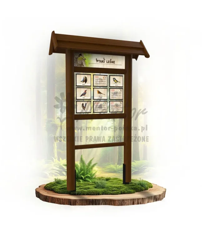 Seria poznawcza - Ptaki leśne_ilustrowana_brąz