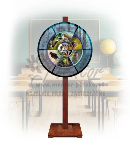 Koło Wiedzy - Noc w lesie (mobilne - opisy)