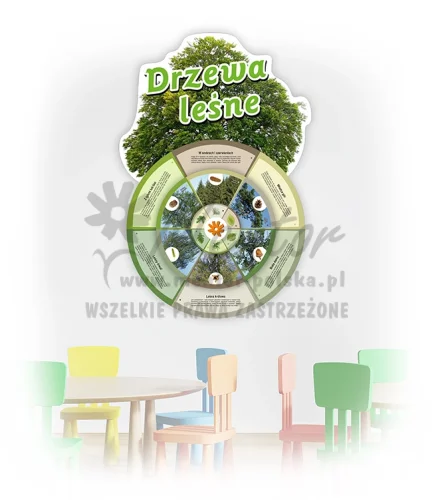 Koło Wiedzy - Drzewa leśne (do zawieszenia wewnątrz)