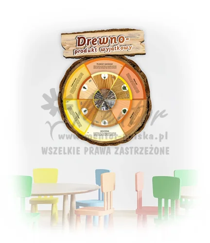 Koło Wiedzy - Drewno produkt wyjątkowy (do zawieszenia wewnątrz)