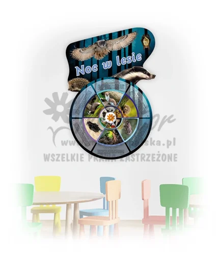 Koło Wiedzy - Noc w lesie (do zawieszenia wewnątrz)
