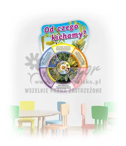KWOCK-ZW - Od czego kichamy_webp.webp