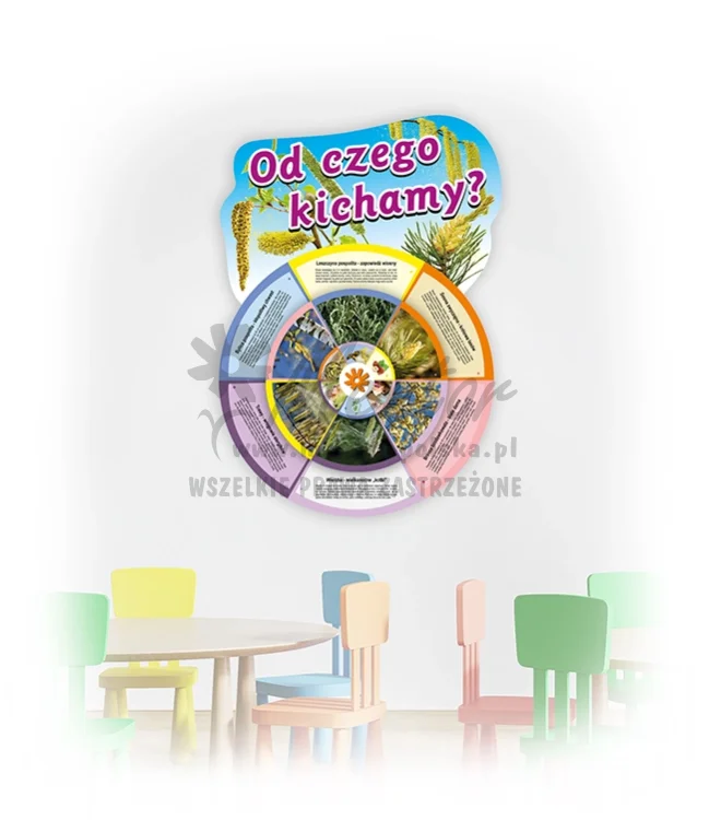 KWOCK-ZW - Od czego kichamy_webp.webp