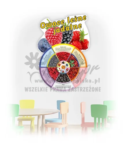 Koło Wiedzy - Owoce leśne jadalne (do zawieszenia wewnątrz)