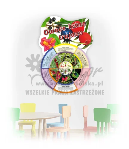 Koło Wiedzy - Owoce leśne trujące (do zawieszenia wewnątrz)