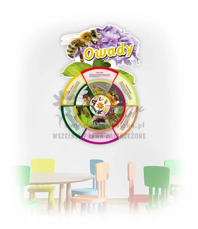KWO-ZW- Owady_webp.webp