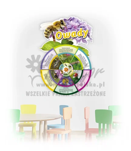KWO-ZW- Owady_inne gatunki_webp.webp