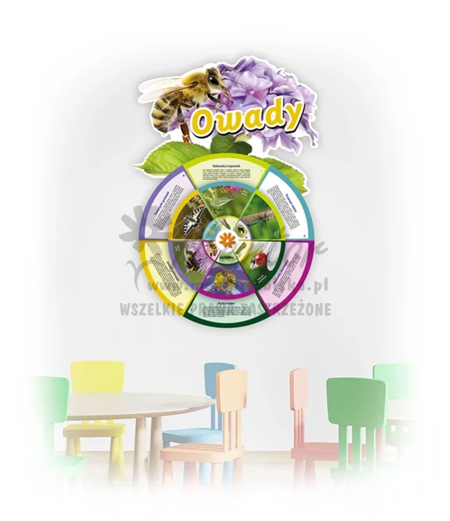 KWO-ZW- Owady_inne gatunki_webp.webp