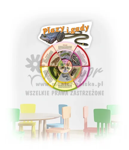 Koło Wiedzy - Płazy i gady (do zawieszenia wewnątrz)