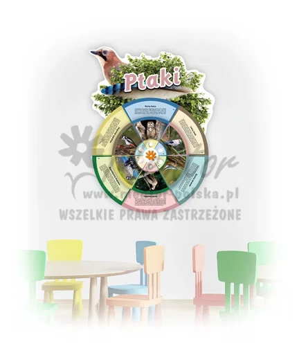 Koło Wiedzy - Ptaki leśne (do zawieszenia wewnątrz)