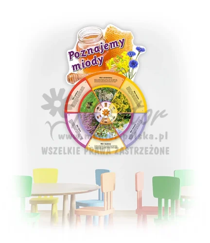 Koło Wiedzy - Poznajemy miody (do zawieszenia wewnątrz)