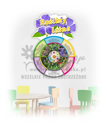 Koło Wiedzy - Rośliny leśne (do zawieszenia wewnątrz)