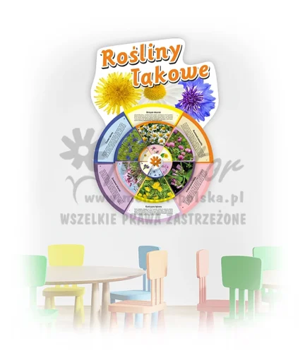 Koło Wiedzy - Rośliny łąkowe (do zawieszenia wewnątrz)