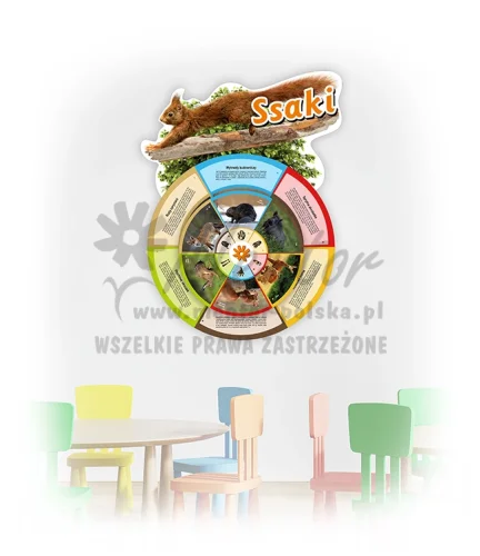 Koło Wiedzy - Ssaki (do zawieszenia wewnątrz)