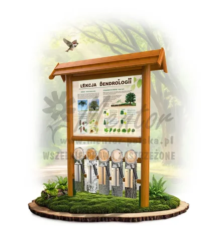 Lekcja dendrologii - wersja podstawowa_dąb