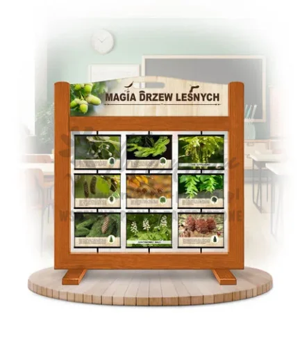 Seria poznawcza (gra mobilna) - Magia drzew leśnych kolor dąb