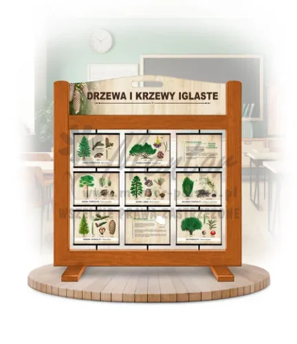 Seria poznawcza (gra mobilna) - Drzewa i krzewy iglaste kolor dąb