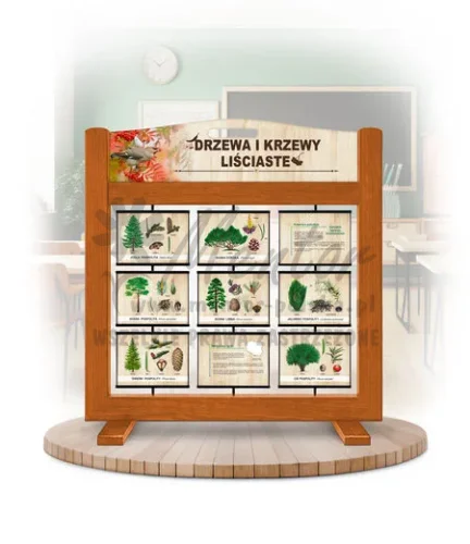 Seria poznawcza (gra mobilna) - Drzewa i krzewy liściaste kolor dąb