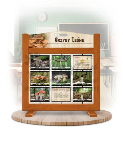 Seria poznawcza (gra mobilna) - Grzyby leśne kolor dąb