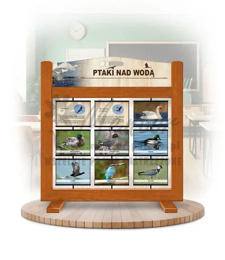 Seria poznawcza (gra mobilna) - Ptaki nad wodą (wersja foto) kolor dąb
