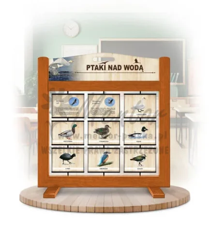 Seria poznawcza (gra mobilna) - Ptaki nad wodą (wersja ilustrowana) kolor dąb
