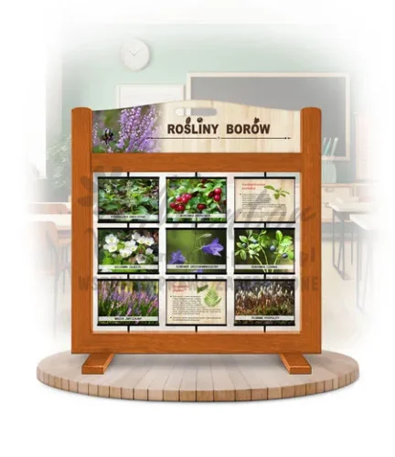 Seria poznawcza (gra mobilna) - Rośliny borów kolor dąb