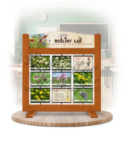 Seria poznawcza (gra mobilna) - Rośliny łąk kolor dąb