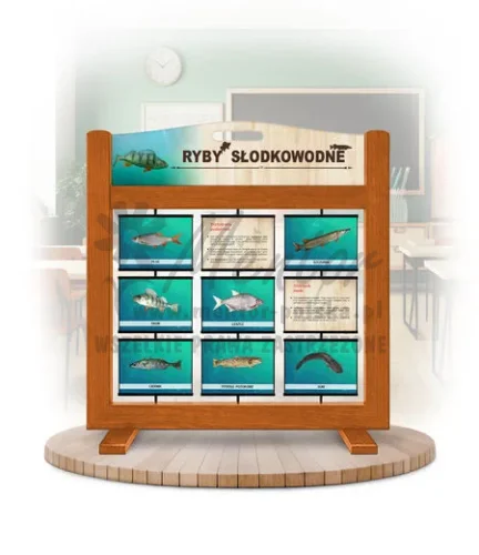 Seria poznawcza (gra mobilna) - Ryby słodkowodne kolor dąb