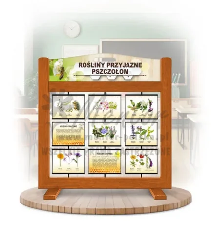 Seria poznawcza (gra mobilna) - Rośliny przyjazne pszczołom kolor dąb
