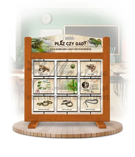 Seria poznawcza (gra mobilna) - Płazy i gady - cykle rozwojowe i cechy przystosowawcze kolor dąb