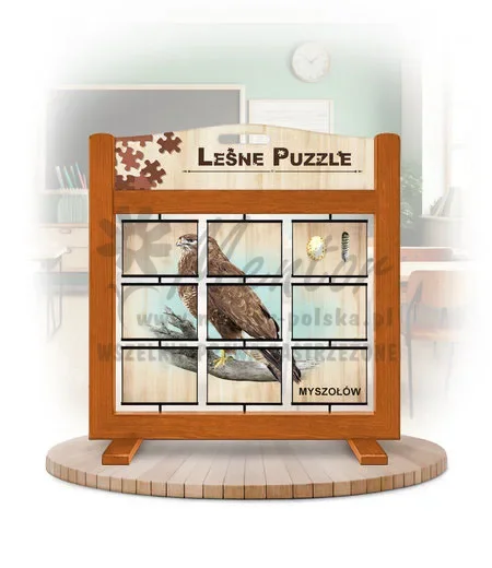 Leśne puzzle (gra mobilna) - Bielik i Myszołów_rewers kolor dąb