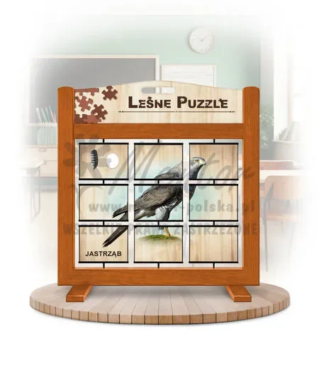 Leśne puzzle (gra mobilna) - Jastrząb gołębiarz i Rybołów_awers kolor dąb