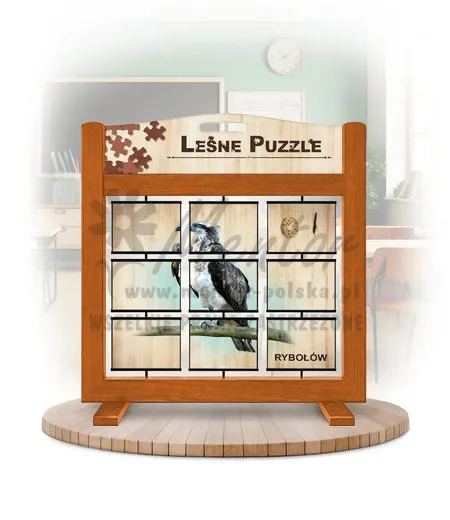 Leśne puzzle (gra mobilna) - Jastrząb gołębiarz i Rybołów_rewers kolor dąb