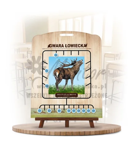 Labirynt Wiedzy - Gwara łowiecka - Jeleń