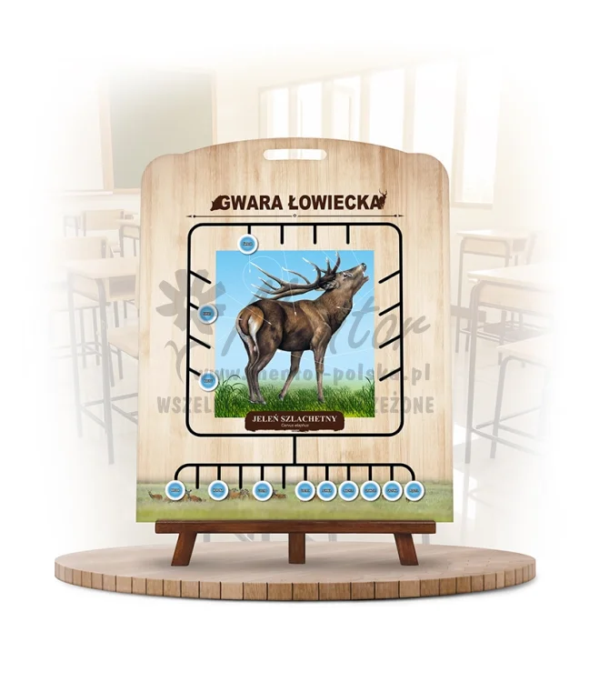 Labirynt Wiedzy - Gwara łowiecka - Jeleń
