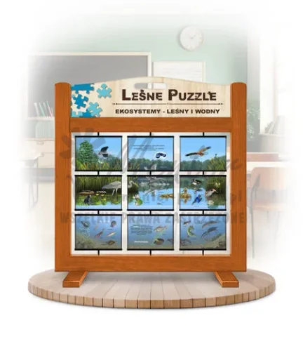 Leśne puzzle (gra mobilna) - Ekosystemy_rewers kolor dąb
