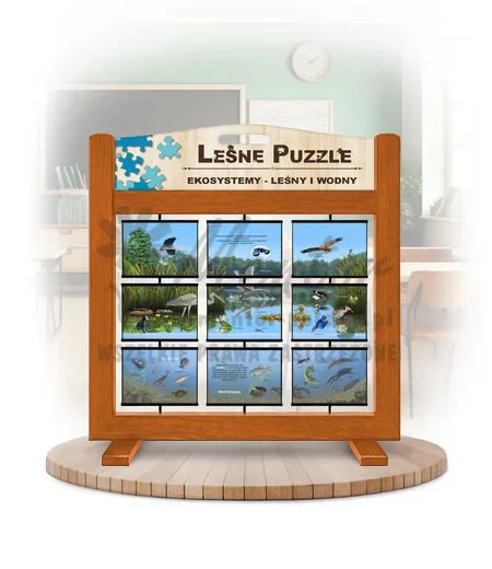 Leśne puzzle (gra mobilna) - Ekosystemy_rewers kolor dąb