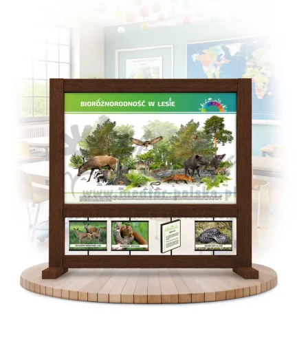 SBm-BL - Bioróżnorodność w lesie kolor brąz